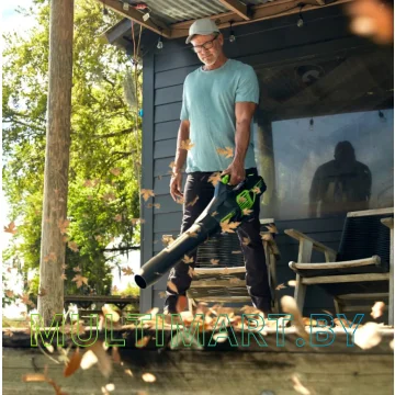 Воздуходувка Greenworks GD60AB 2405607 (без АКБ) картинка 7